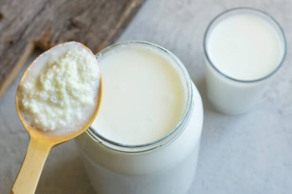 L-Reuteri Yogurt By Dr. William Davis
